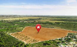 How to Invest in Land 2024/5